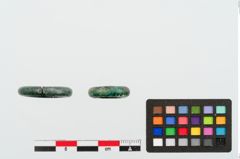 Foto von Bronzering (NHMW-PRAE-024404)